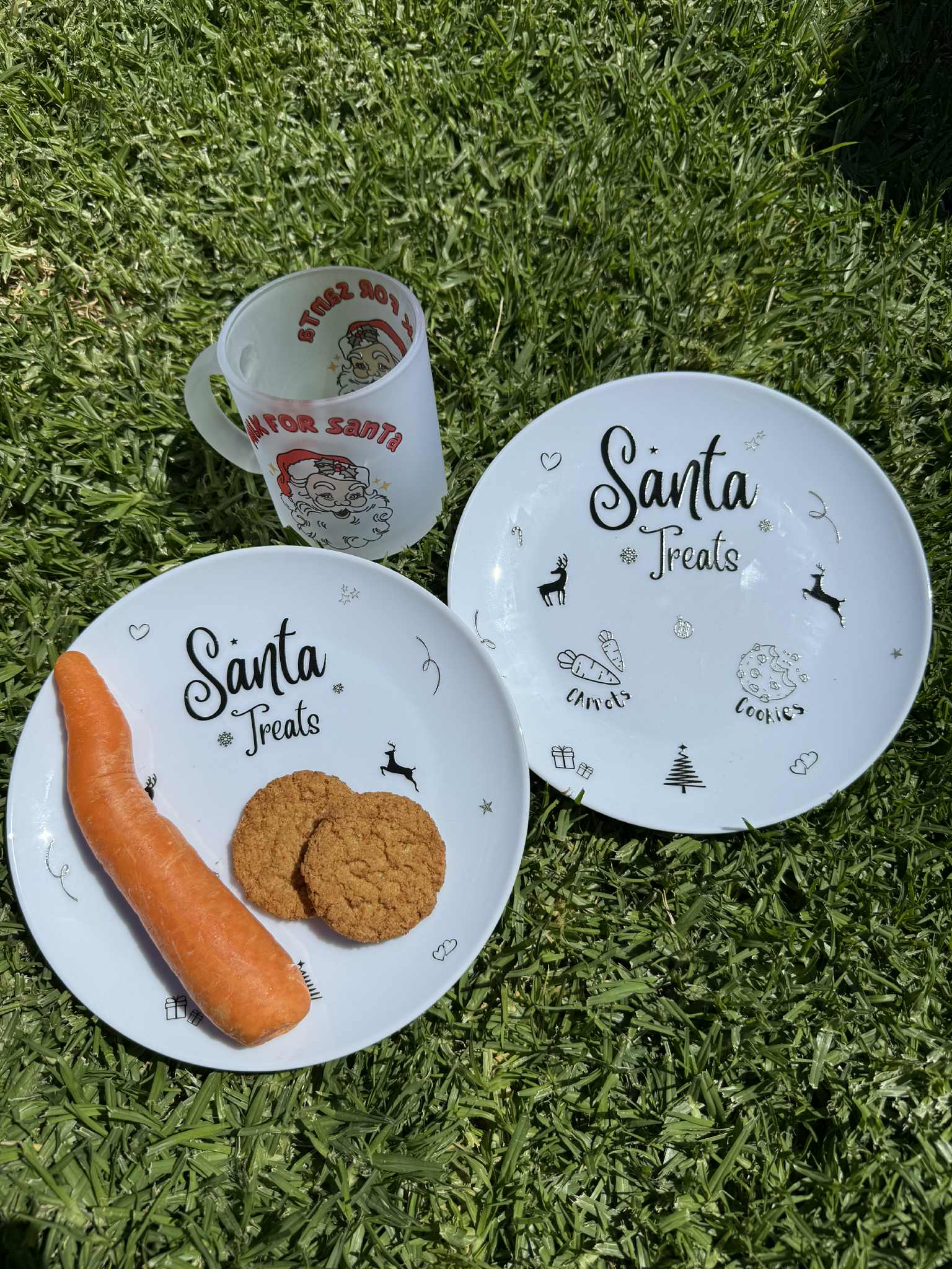 Santa Treat Plate