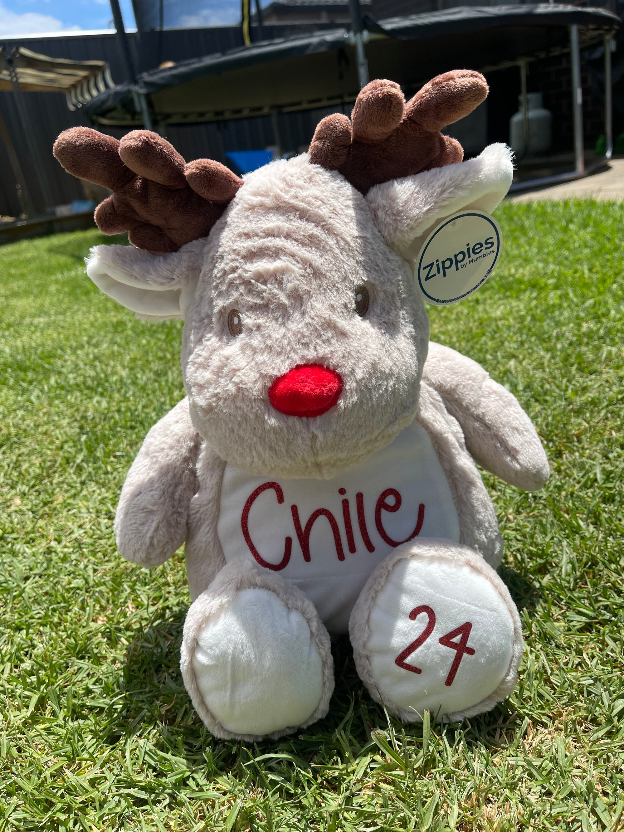Personalised Plush Reindeer