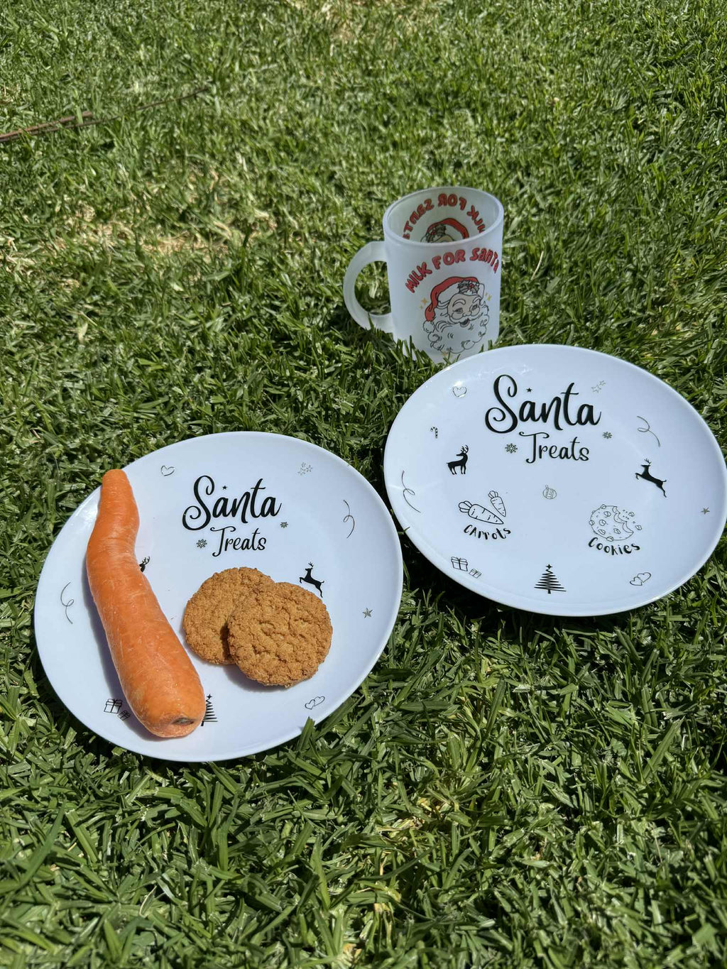 Santa Treat Plate