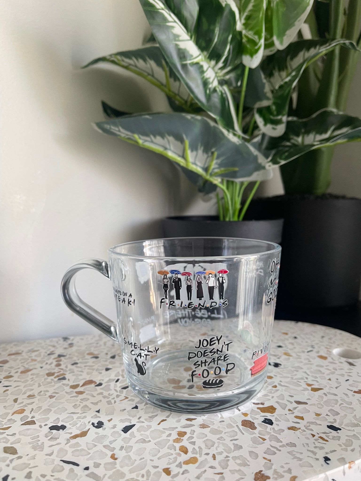 FRIENDS Glass Mug