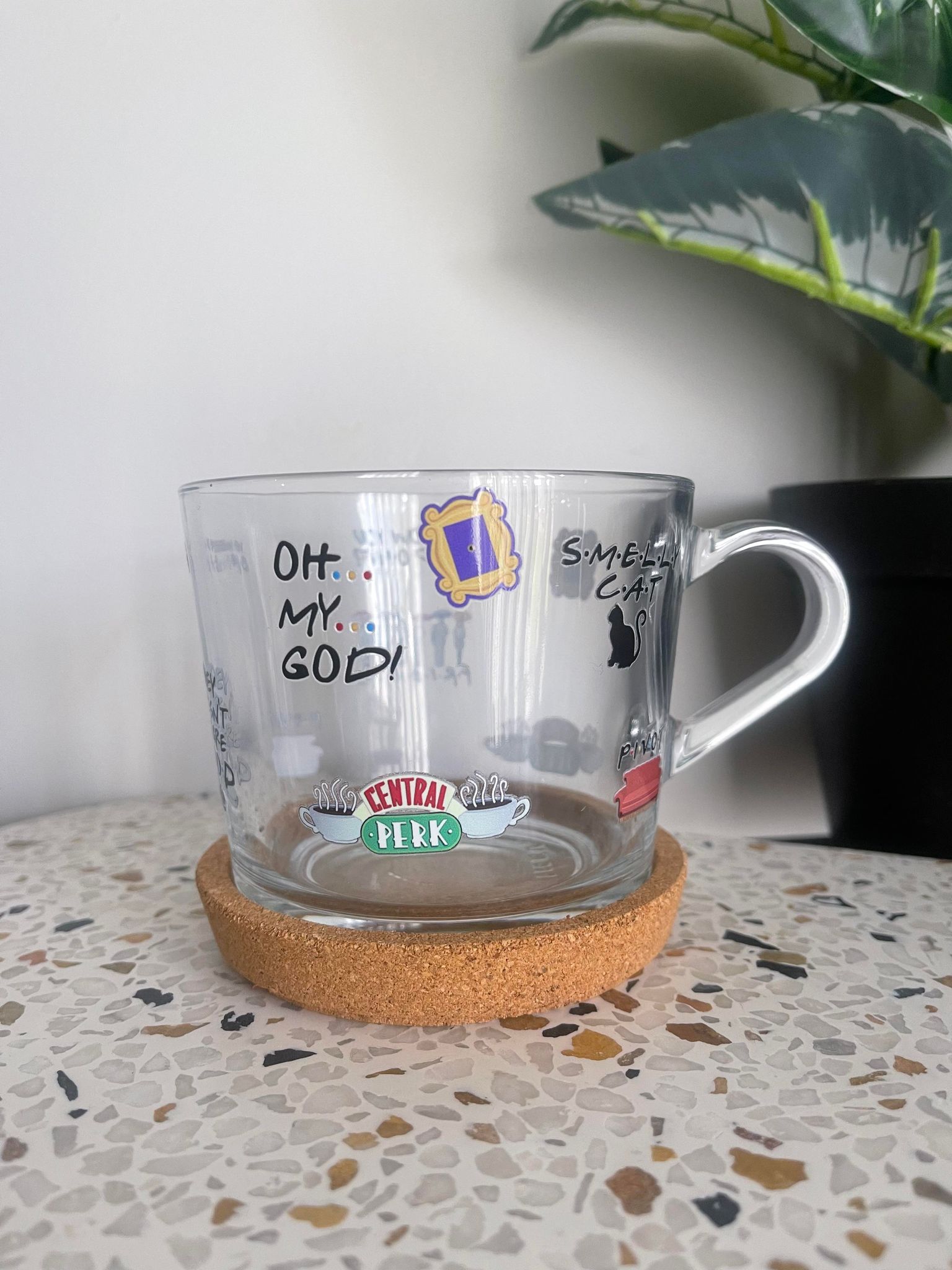 FRIENDS Glass Mug