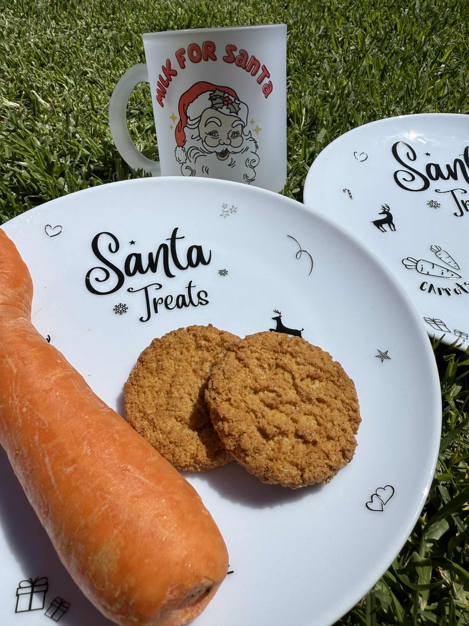 Santa Treat Plate