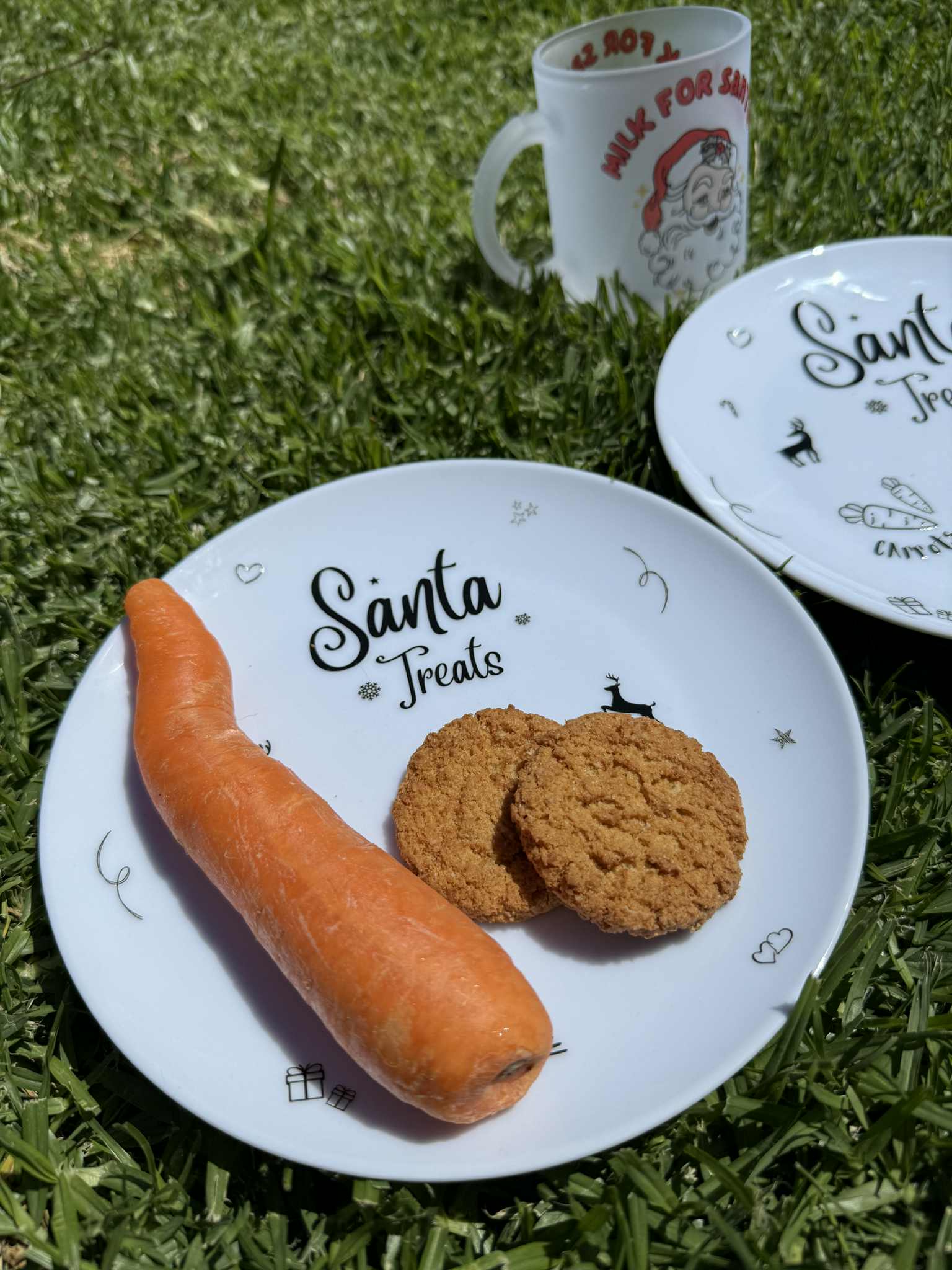 Santa Treat Plate