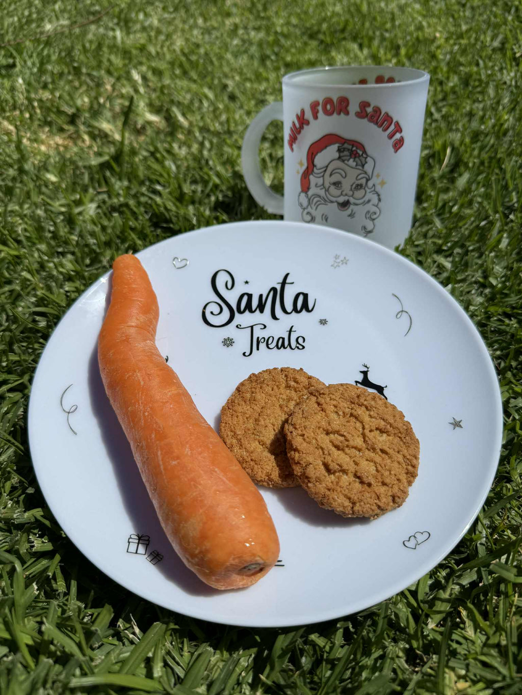 Santa Treat Plate