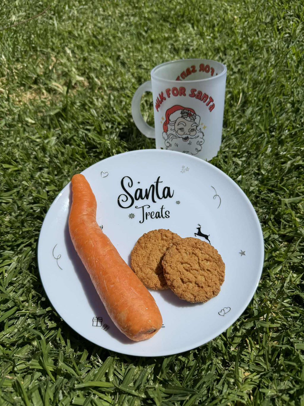 Santa Treat Plate