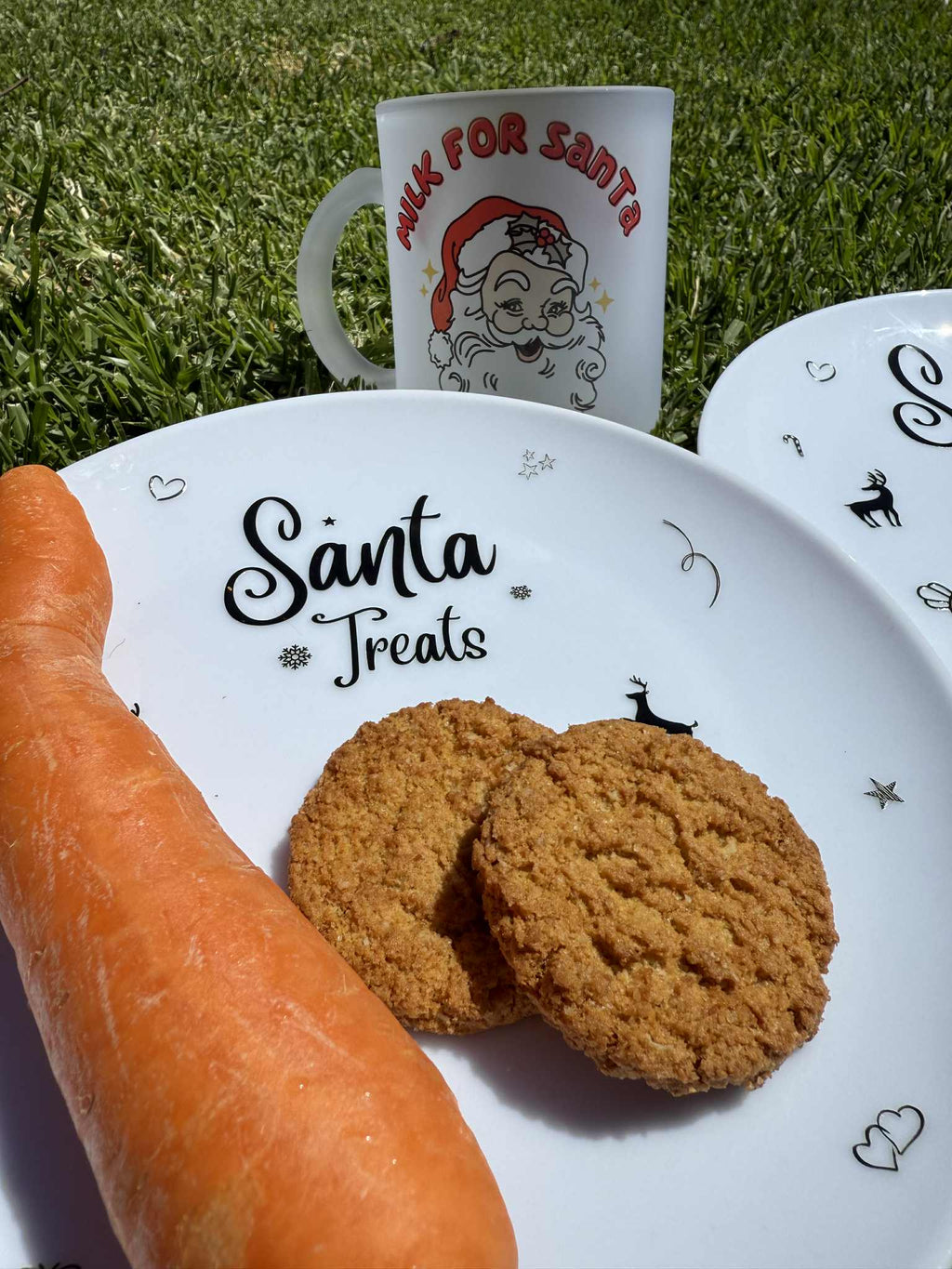 Santa Treat Plate
