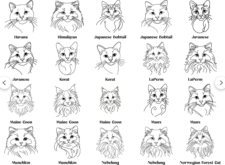 Personalised Cat/Dog Mug