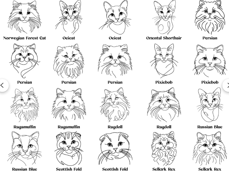 Personalised Cat/Dog Mug