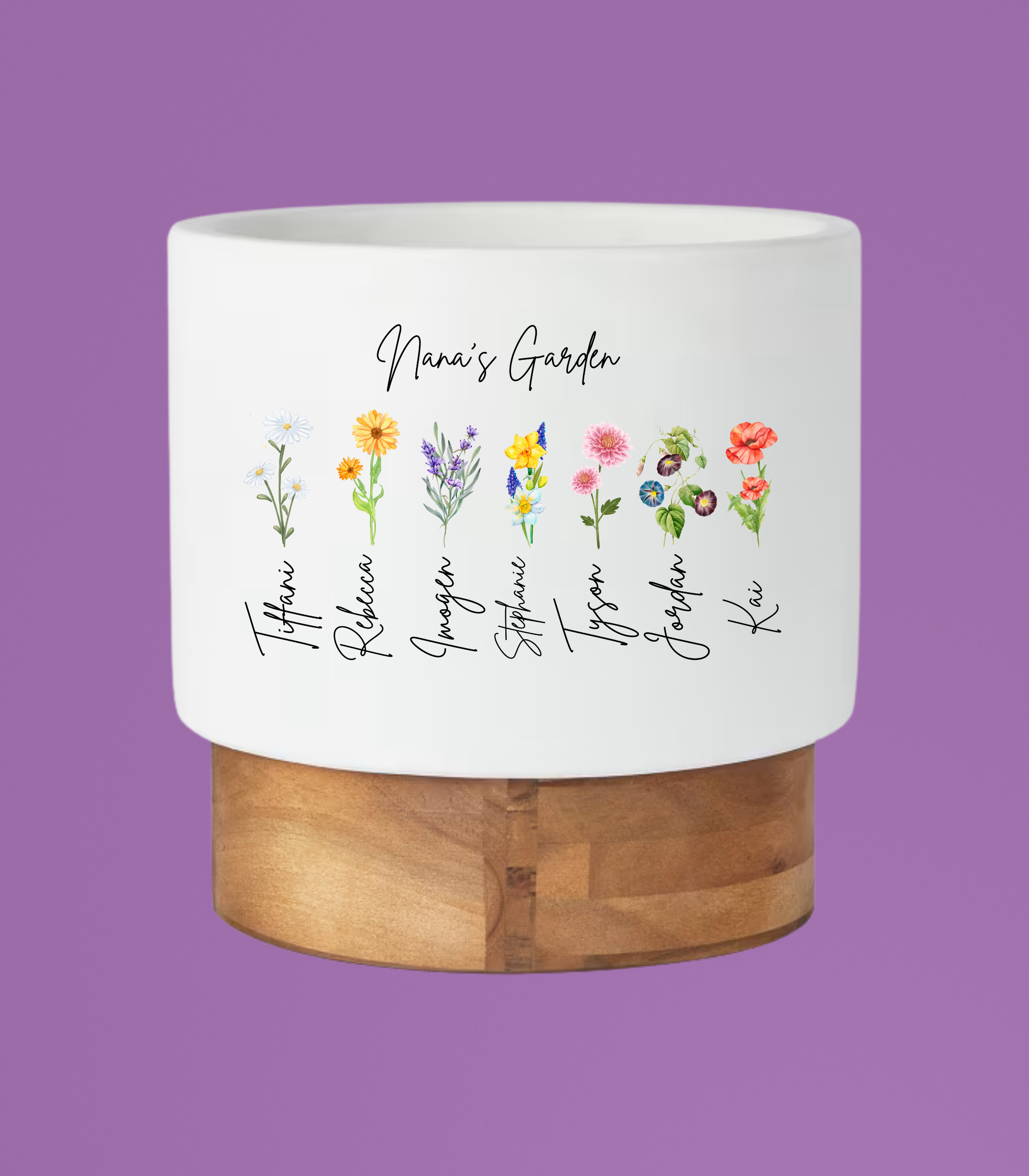 Personalised Pot Plant