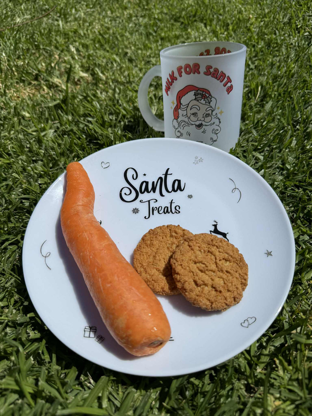 Santa Treat Plate