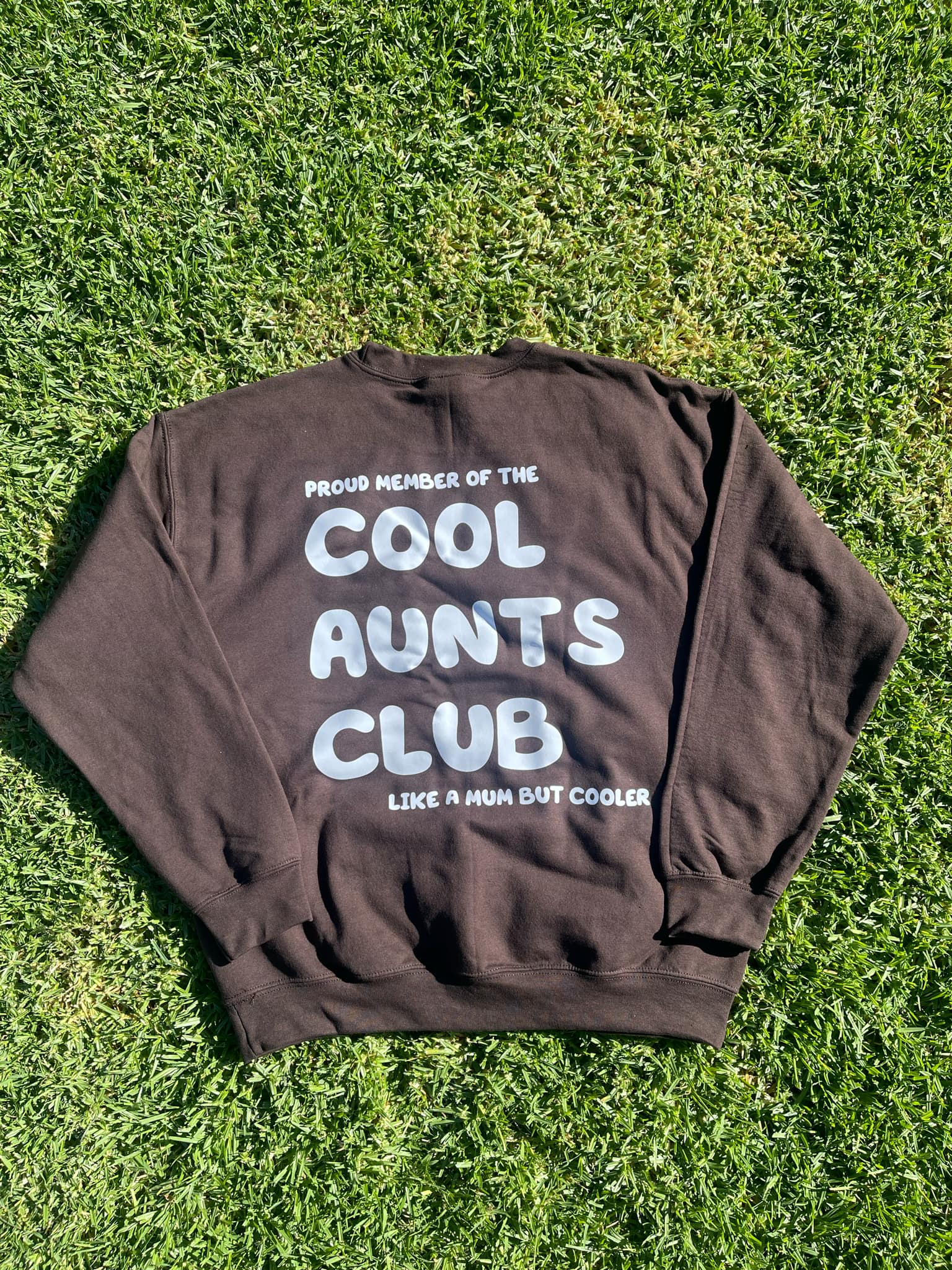 Cool Aunt Club Jumpers