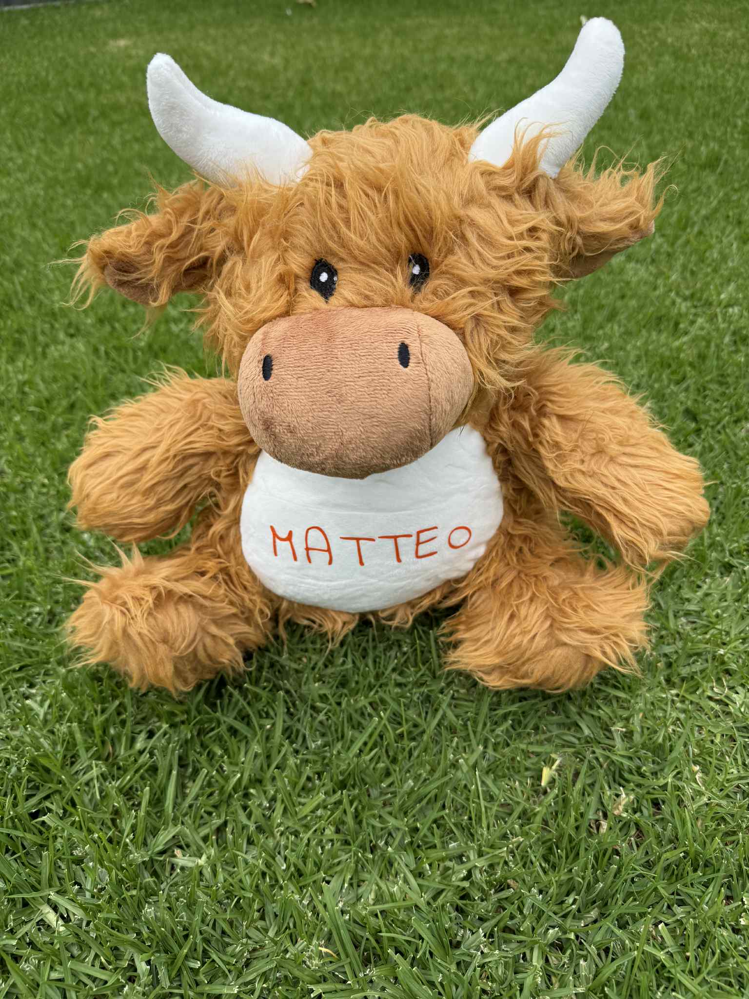 Personalised Highland Cow