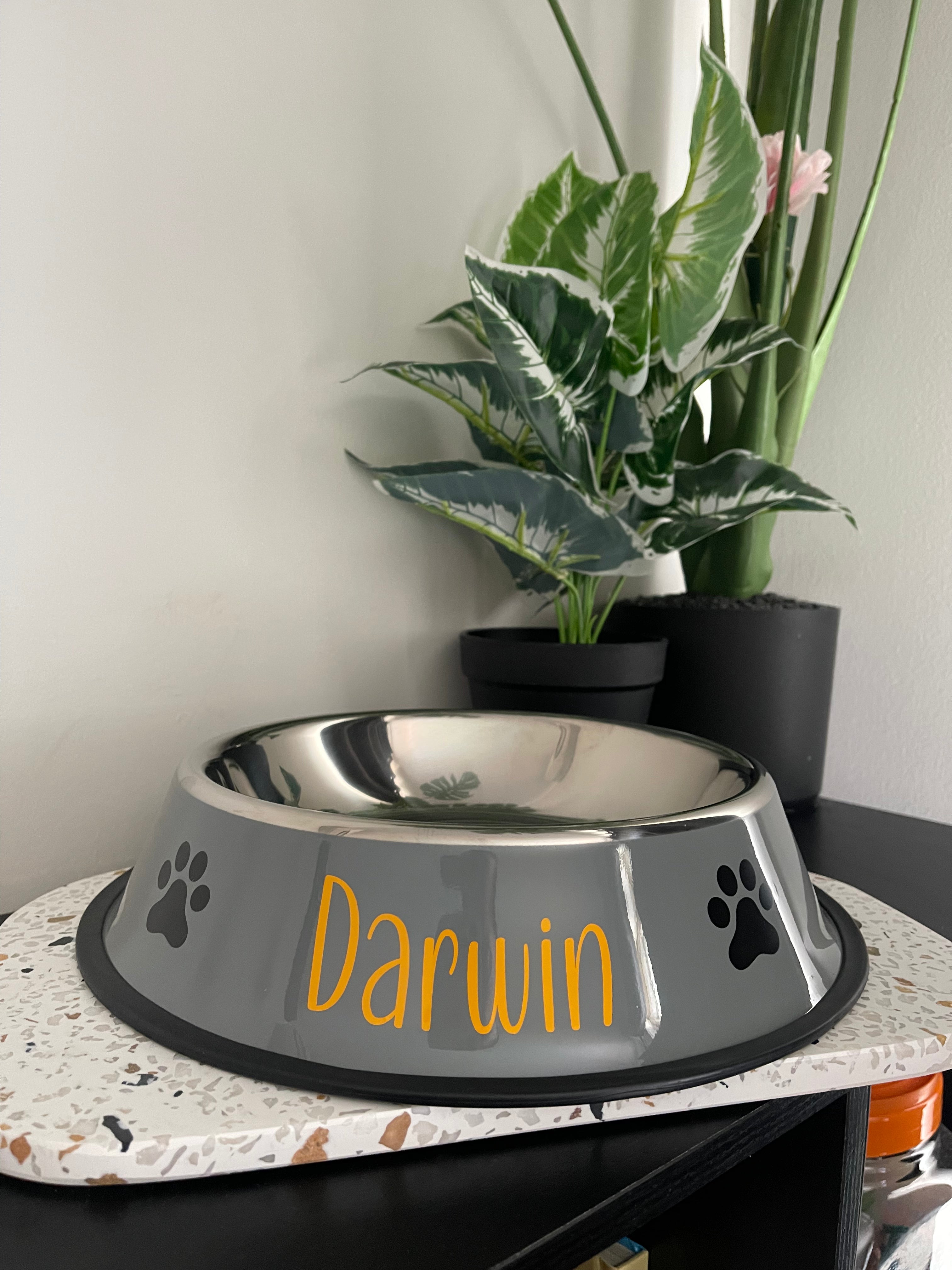 Personalised Dog Bowl