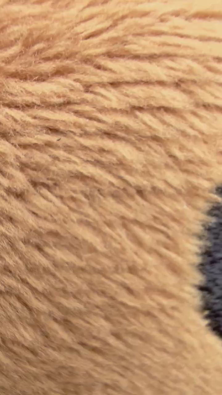 Personalised Highland Cow